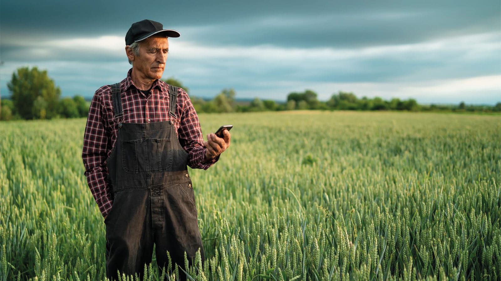 a man in a field